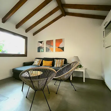 Buenavista Oasis